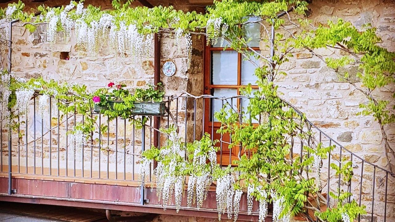 Hotel Podere Conti Filattiera Εξωτερικό φωτογραφία