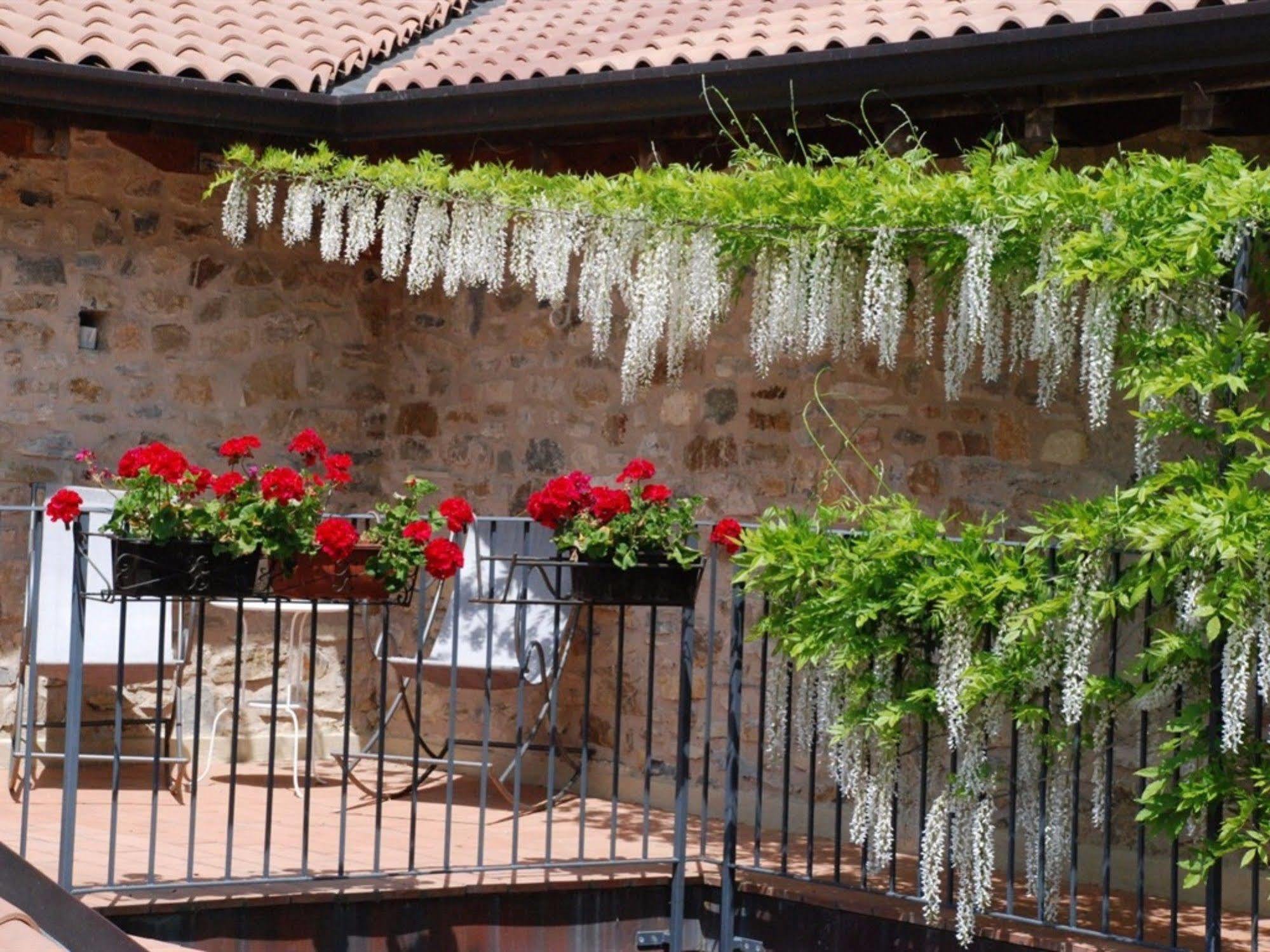 Hotel Podere Conti Filattiera Εξωτερικό φωτογραφία